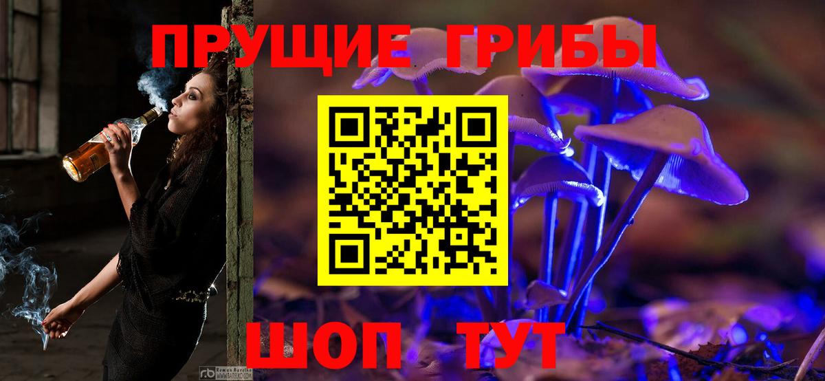 Галлюциногенные грибы Cubensis Видное