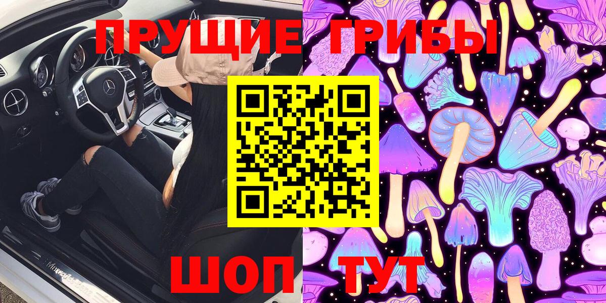 Галлюциногенные грибы Psilocybe  Видное 